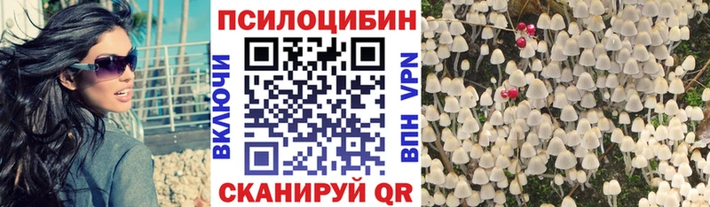 где можно купить наркотик  Всеволожск  Псилоцибиновые грибы GOLDEN TEACHER 